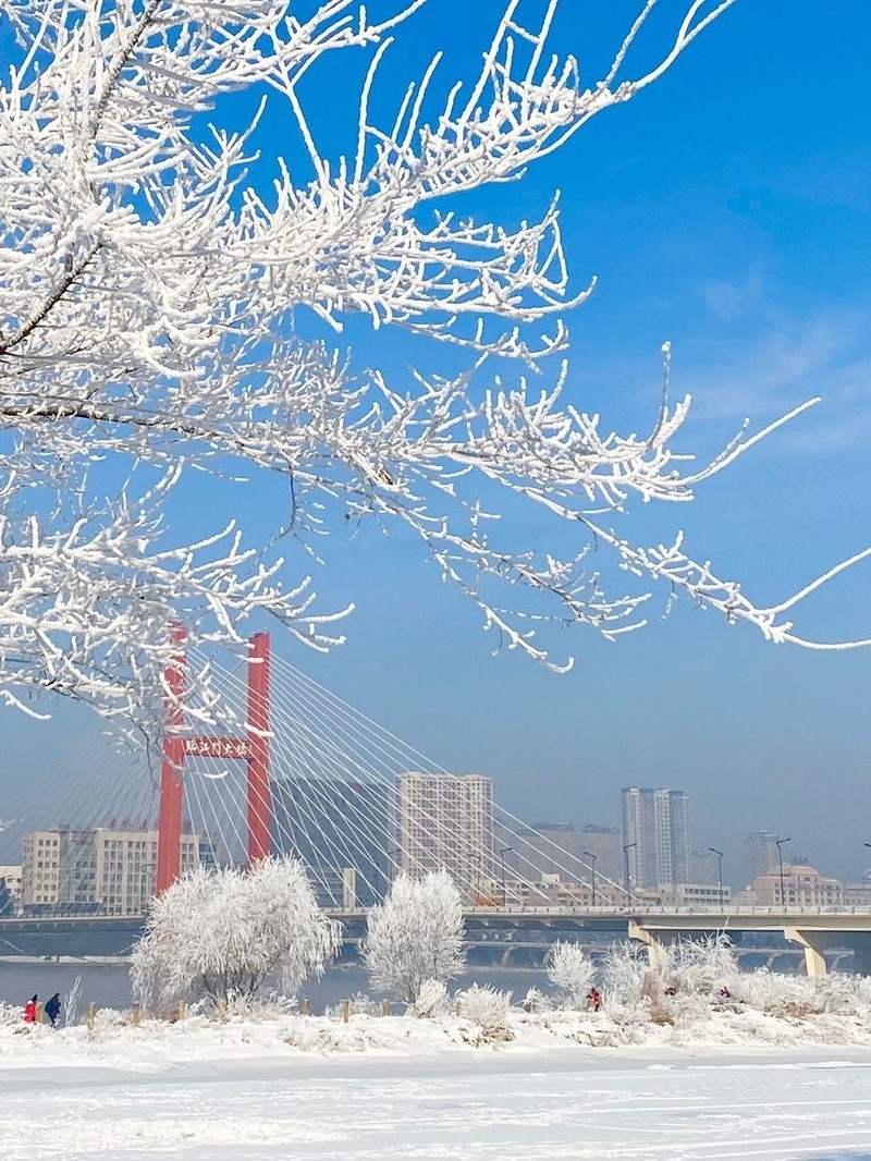 吉林翱翔，梦想之翼的风中篇章