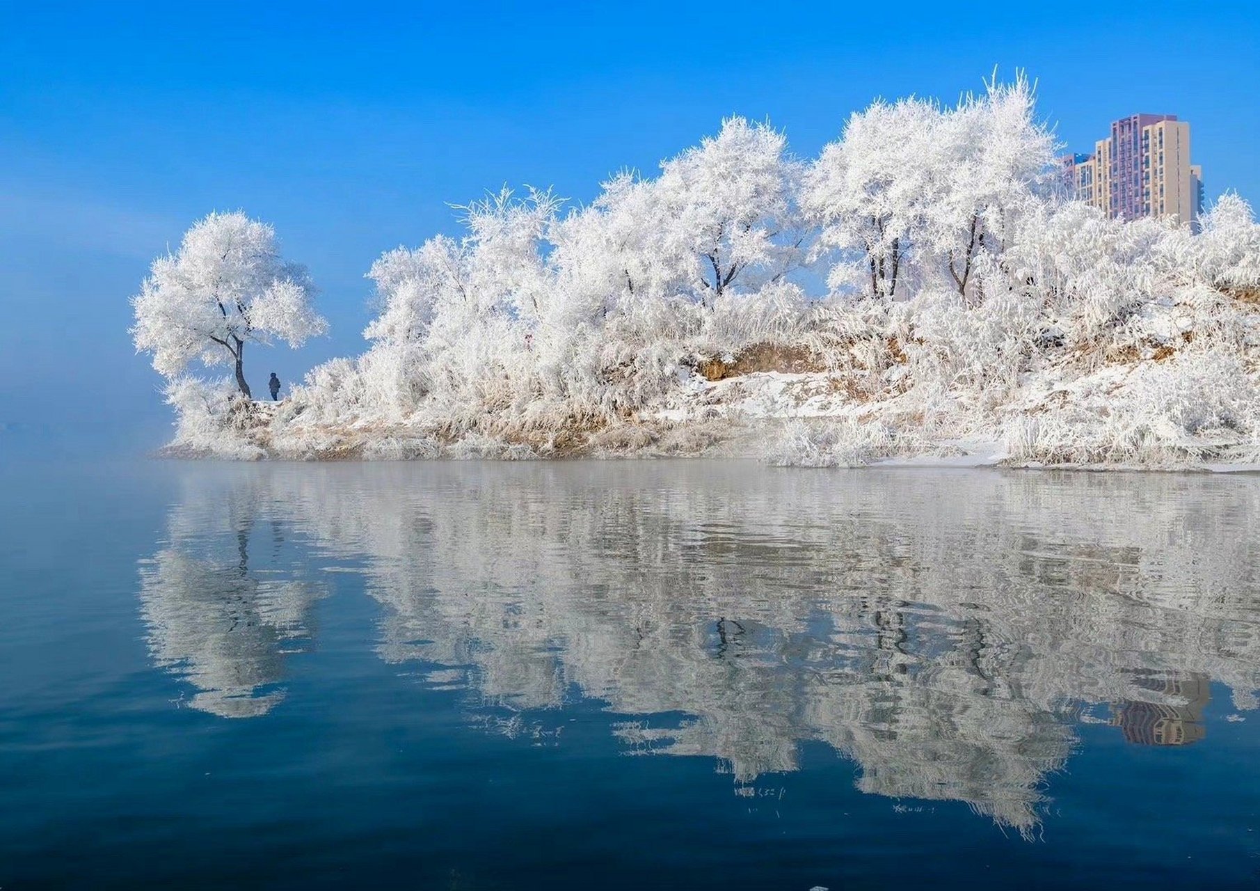 吉林翱翔,梦想之翼的风中篇章