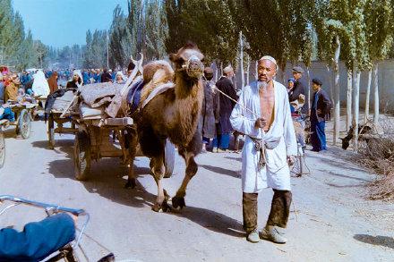 新疆，尊贵领导与挚友共聚盛典