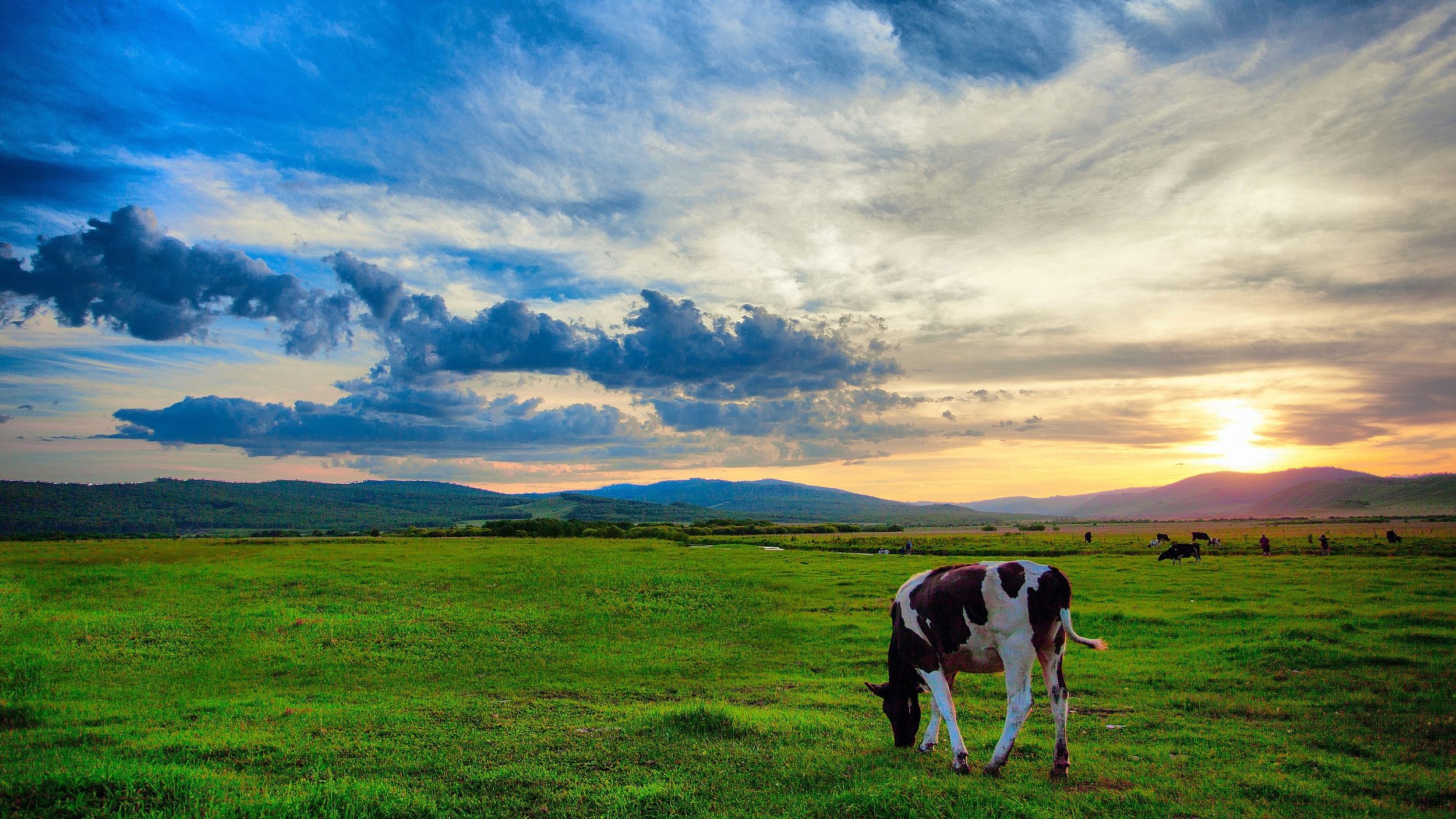 呼伦贝尔草原之旅全攻略，一次难忘的草原探险之旅