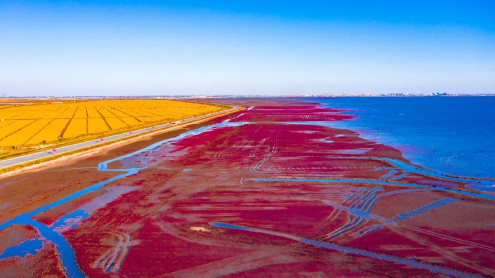 盘锦，沼泽到繁荣的蜕变之路